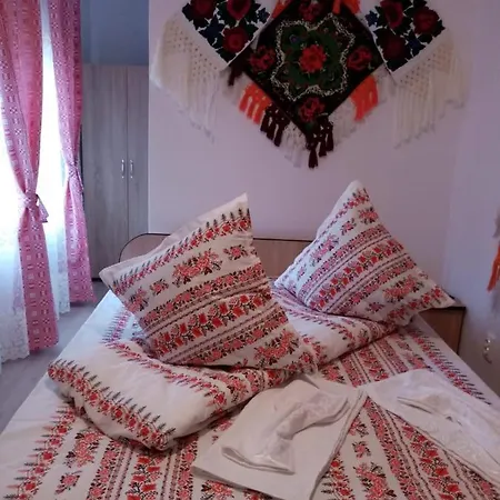 Casa Lui Vladut Guest house