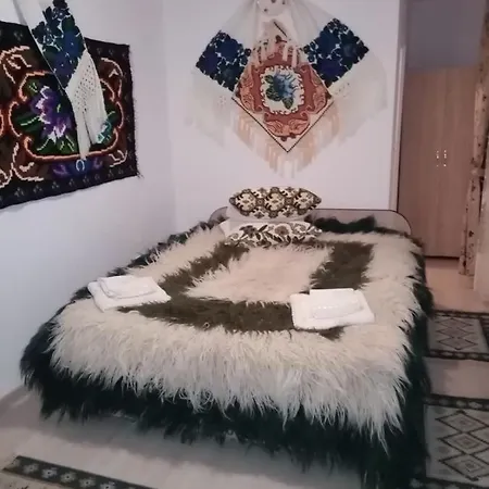 Casa Lui Vladut Valeni (Maramures)