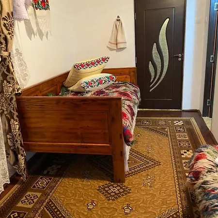 Casa Lui Vladut Guest house