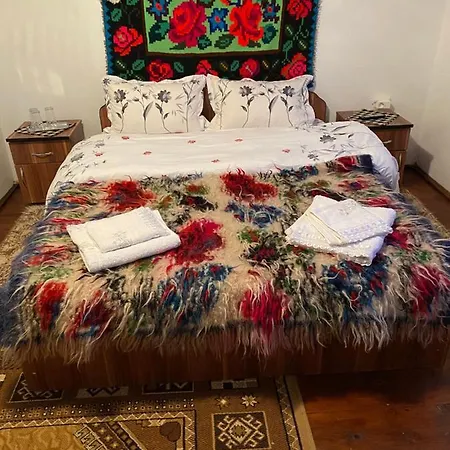 Guest house Casa Lui Vladut
