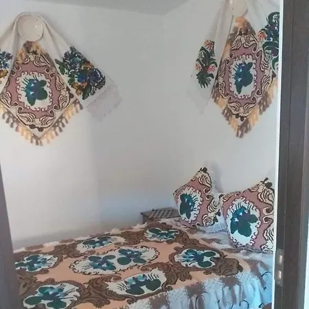 Casa Lui Vladut Guest house