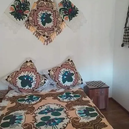 Casa Lui Vladut *