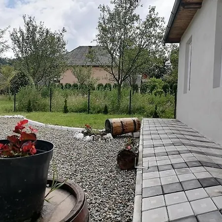 Guest house Casa Lui Vladut
