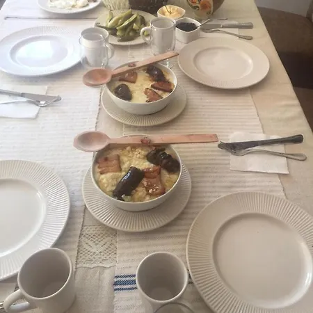 Casa Lui Vladut Guest house
