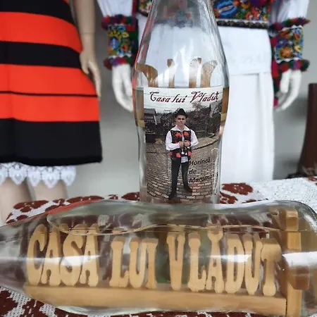 Casa Lui Vladut *