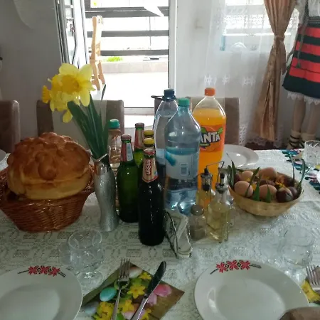 Guest house Casa Lui Vladut