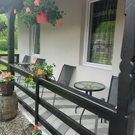 Guest house Casa Lui Vladut