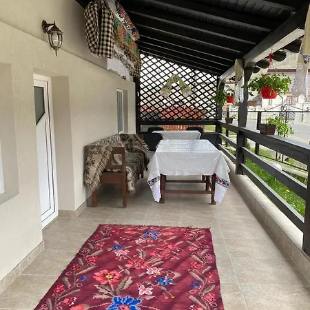 Casa Lui Vladut Guest house