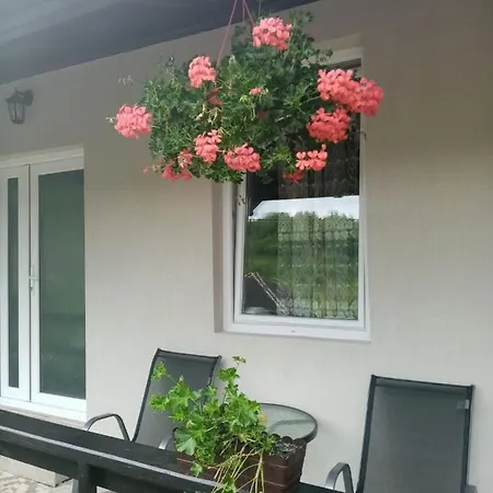 Casa Lui Vladut Guest house *